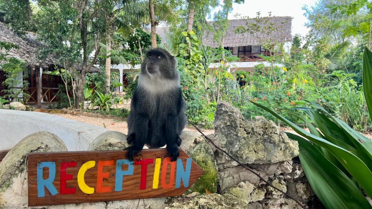 Atii Garden Bungalows Nungwi Eksteriør billede
