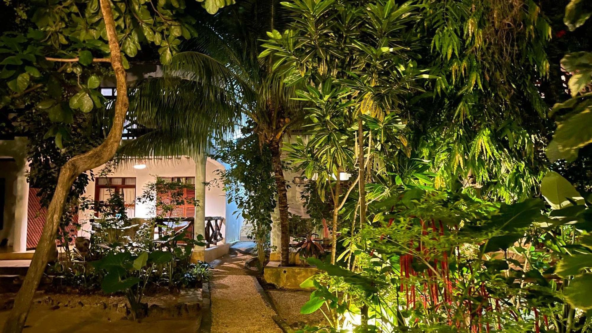 Atii Garden Bungalows Nungwi Eksteriør billede