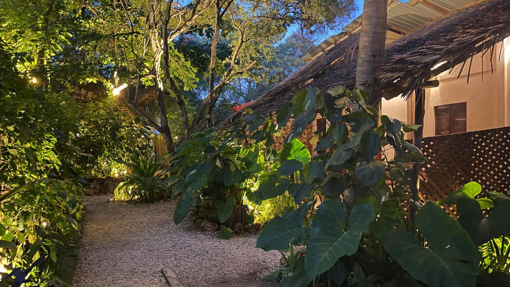 Atii Garden Bungalows Nungwi Eksteriør billede