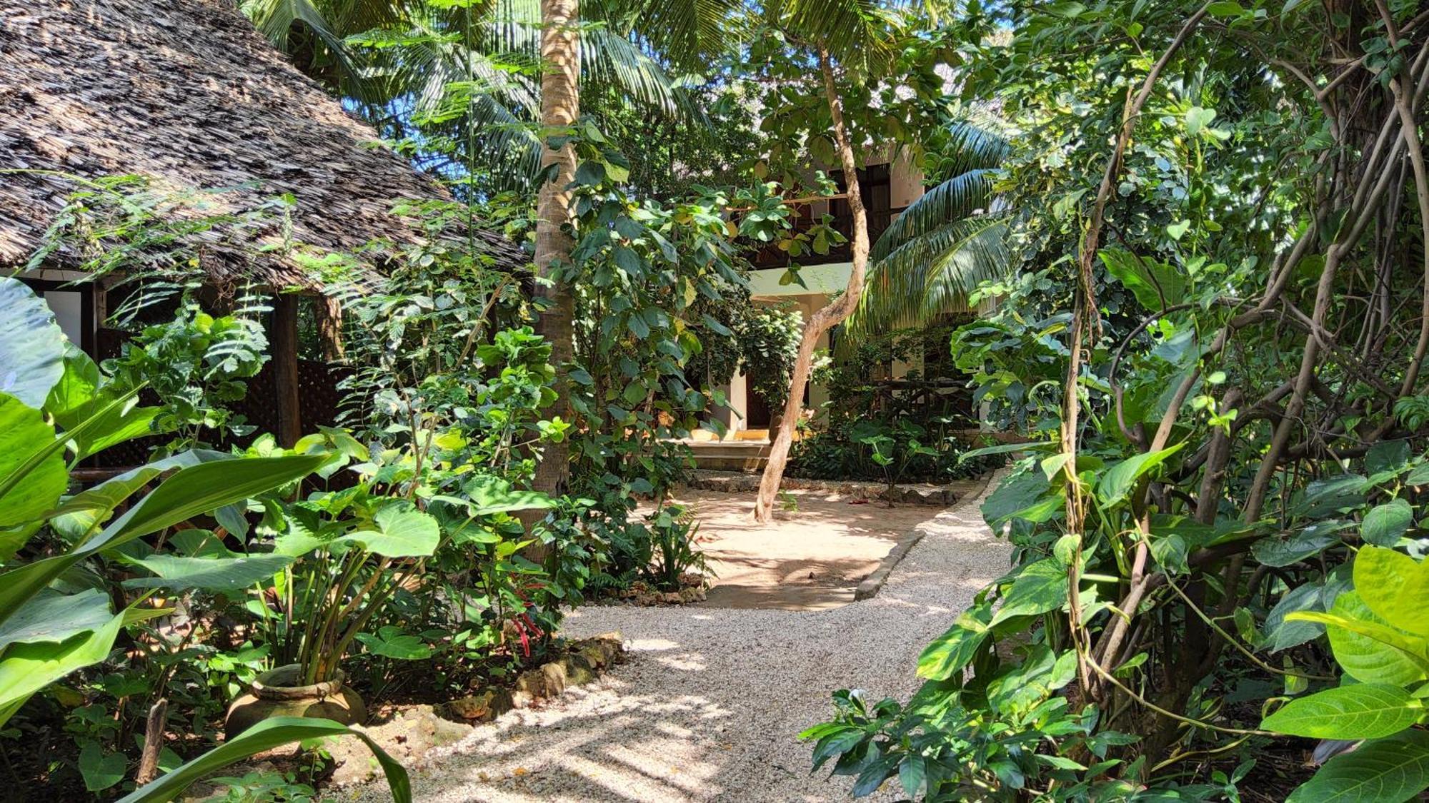 Atii Garden Bungalows Nungwi Eksteriør billede